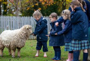 Monkton Prep pupils with sheep