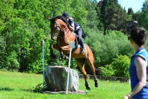 Mayfield School independent girls day and boarding school East Sussex