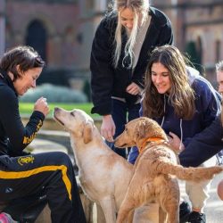 wellington College is an independent day and boarding school in Berkshire