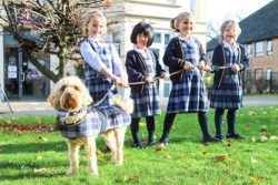 Burgess Hill Girls independent day and boarding school West Sussex