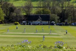 Monkton cricket on Longmead pitch