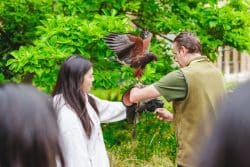 CLC-2023-falconry-demo-wellbeing