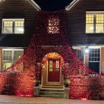 Powerful Poppy Display to Commemorate Remembrance Day