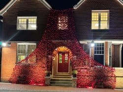 Poppy Display at The Beacon School Buckinghamshire 